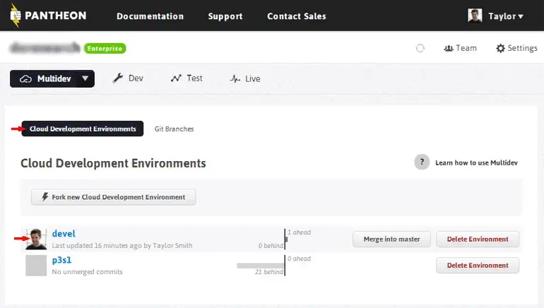 Running Environments on the Multidev Pantheon Dashboard